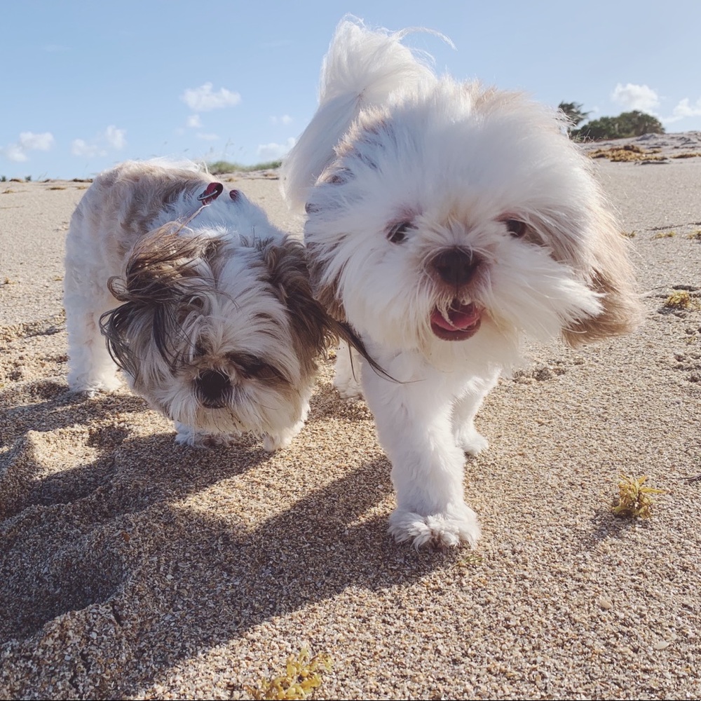 Meet your Posher, Virginia